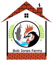 BobJonesFarms Institute Logo